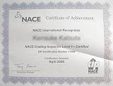 NACE LEVEL1