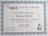 NACE LEVEL2