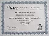 NACE LEVEL2 MARINE